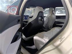 بي واي دي سيل 06 DM-i